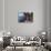 Elephant Seal on Livingstone Island, Antarctica-Paul Souders-Photographic Print displayed on a wall