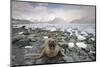 Elephant Seal on South Georgia Island-Paul Souders-Mounted Photographic Print