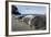 Elephant Seal Pups resting on a beach, Livingstone Island, Antarctica-Paul Souders-Framed Photographic Print