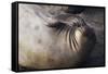 Elephant Seal Scratching-Darrell Gulin-Framed Stretched Canvas