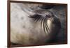Elephant Seal Scratching-Darrell Gulin-Framed Photographic Print