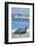 Elephant Seal-DLILLC-Framed Photographic Print