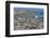 Elephant Seals on Beach, San Simeon, California-Zandria Muench Beraldo-Framed Photographic Print