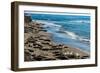 Elephant Seals on the beach, Piedras Blancas, San Simeon, California, USA-null-Framed Photographic Print