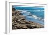 Elephant Seals on the beach, Piedras Blancas, San Simeon, California, USA-null-Framed Photographic Print