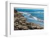 Elephant Seals on the beach, Piedras Blancas, San Simeon, California, USA-null-Framed Photographic Print