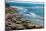 Elephant Seals on the beach, Piedras Blancas, San Simeon, California, USA-null-Mounted Photographic Print