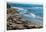 Elephant Seals on the beach, Piedras Blancas, San Simeon, California, USA-null-Framed Photographic Print
