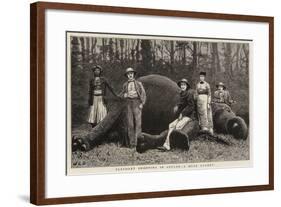 Elephant Shooting in Ceylon, a Huge Quarry-John Charles Dollman-Framed Giclee Print