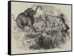 Elephant Shooting-null-Framed Stretched Canvas