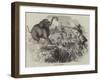 Elephant Shooting-null-Framed Giclee Print