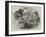 Elephant Shooting-null-Framed Giclee Print