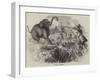 Elephant Shooting-null-Framed Giclee Print