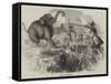 Elephant Shooting-null-Framed Stretched Canvas