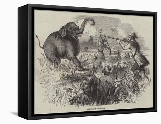 Elephant Shooting-null-Framed Stretched Canvas