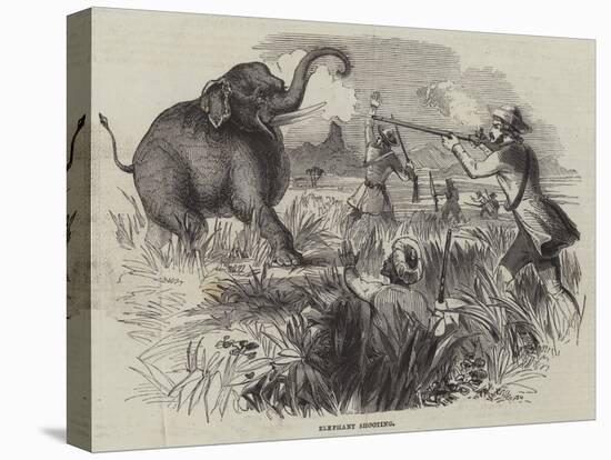 Elephant Shooting-null-Stretched Canvas