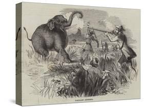 Elephant Shooting-null-Stretched Canvas