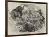 Elephant Shooting-null-Framed Giclee Print