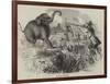 Elephant Shooting-null-Framed Giclee Print