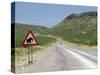 Elephant Sign Along Dirt Road, Namibia, Africa-Peter Groenendijk-Stretched Canvas