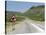 Elephant Sign Along Dirt Road, Namibia, Africa-Peter Groenendijk-Stretched Canvas