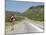 Elephant Sign Along Dirt Road, Namibia, Africa-Peter Groenendijk-Mounted Photographic Print