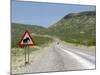 Elephant Sign Along Dirt Road, Namibia, Africa-Peter Groenendijk-Mounted Photographic Print