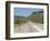 Elephant Sign Along Dirt Road, Namibia, Africa-Peter Groenendijk-Framed Photographic Print