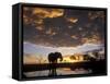 Elephant Silhouetted at Marabou Pan, Savuti Marsh, Chobe National Park, Botswana-Paul Souders-Framed Stretched Canvas