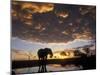 Elephant Silhouetted at Marabou Pan, Savuti Marsh, Chobe National Park, Botswana-Paul Souders-Mounted Photographic Print