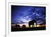 Elephant Silhouettes-Paul Souders-Framed Photographic Print