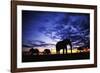 Elephant Silhouettes-Paul Souders-Framed Photographic Print