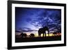 Elephant Silhouettes-Paul Souders-Framed Photographic Print