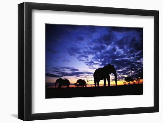 Elephant Silhouettes-Paul Souders-Framed Photographic Print