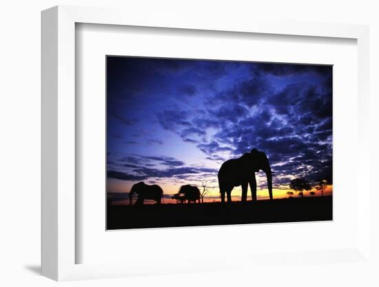 Elephant Silhouettes-Paul Souders-Framed Photographic Print