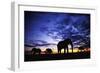 Elephant Silhouettes-Paul Souders-Framed Photographic Print