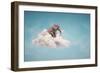 Elephant sitting on a cloud in the sky-Mihaela Rosu-Framed Art Print