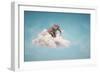 Elephant sitting on a cloud in the sky-Mihaela Rosu-Framed Art Print