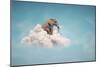 Elephant sitting on a cloud in the sky-Mihaela Rosu-Mounted Art Print