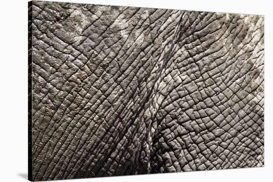 Elephant Skin, Makgadikgadi Pans National Park, Botswana-Paul Souders-Stretched Canvas