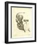 Elephant Skull-null-Framed Giclee Print