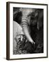 Elephant Splashing Water with Trunk - Etosha National Park (Namibia)-Johan Swanepoel-Framed Photographic Print