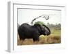 Elephant Sprays Mud from its Trunk over its Body to Cool Down-Susanna Wyatt-Framed Photographic Print