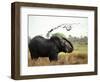 Elephant Sprays Mud from its Trunk over its Body to Cool Down-Susanna Wyatt-Framed Photographic Print