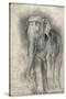 Eléphant sur le vif-Gustave Moreau-Stretched Canvas