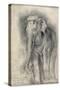 Eléphant sur le vif-Gustave Moreau-Stretched Canvas