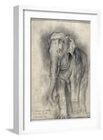 Eléphant sur le vif-Gustave Moreau-Framed Giclee Print