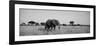 Elephant Tarangire Tanzania Africa-null-Framed Photographic Print