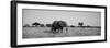 Elephant Tarangire Tanzania Africa-null-Framed Premium Photographic Print