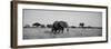 Elephant Tarangire Tanzania Africa-null-Framed Photographic Print